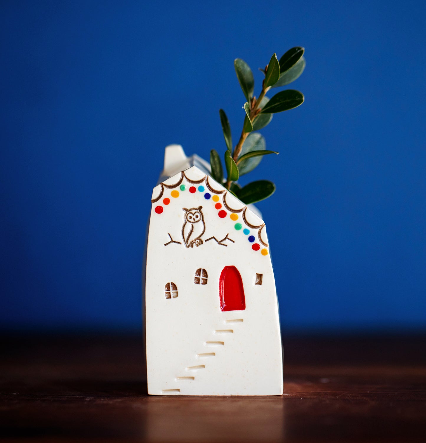 Rainbow Ceramic Bud Propagation Vases with Owl
