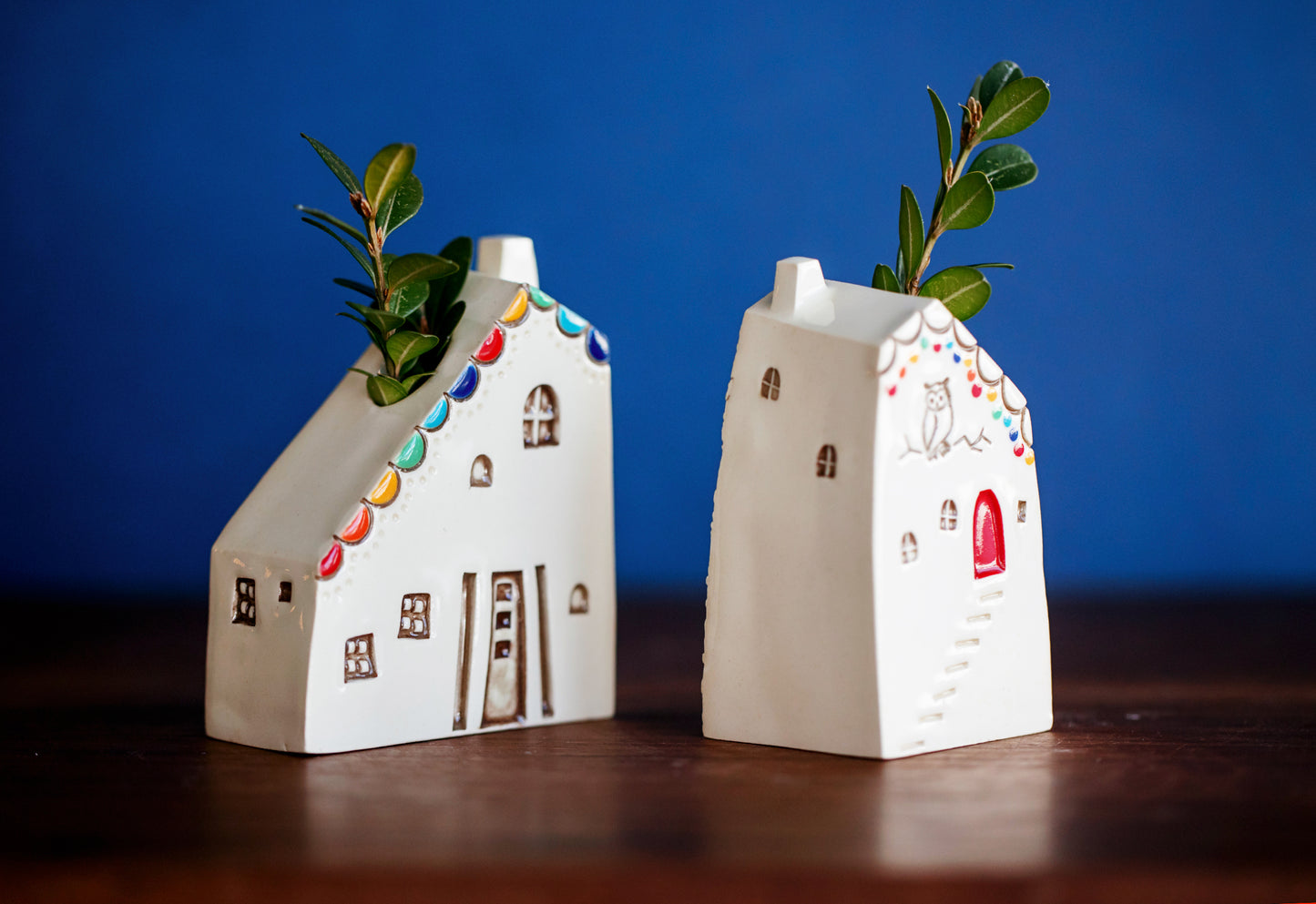 Rainbow Ceramic Bud Propagation Vases with Owl