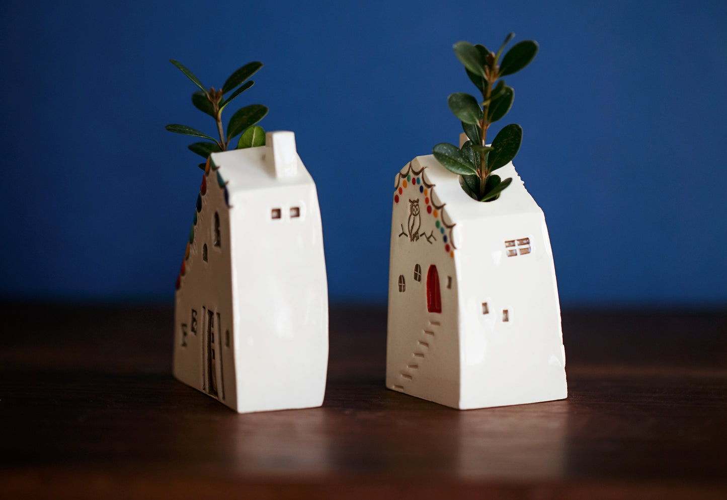 Rainbow Ceramic Bud Propagation Vases with Owl
