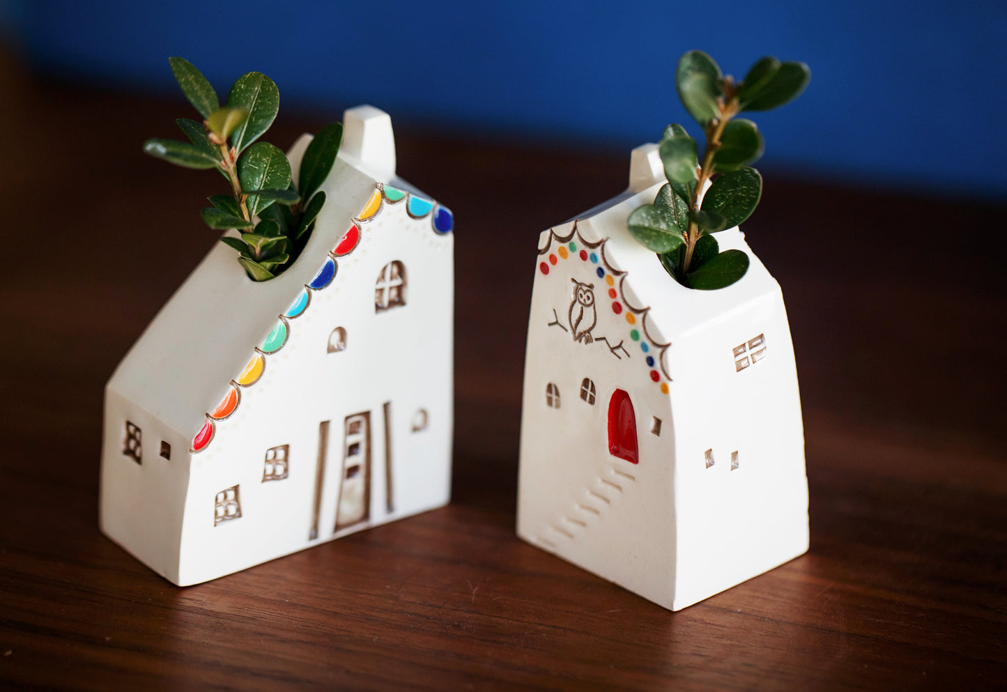 Rainbow Ceramic Bud Propagation Vases with Owl