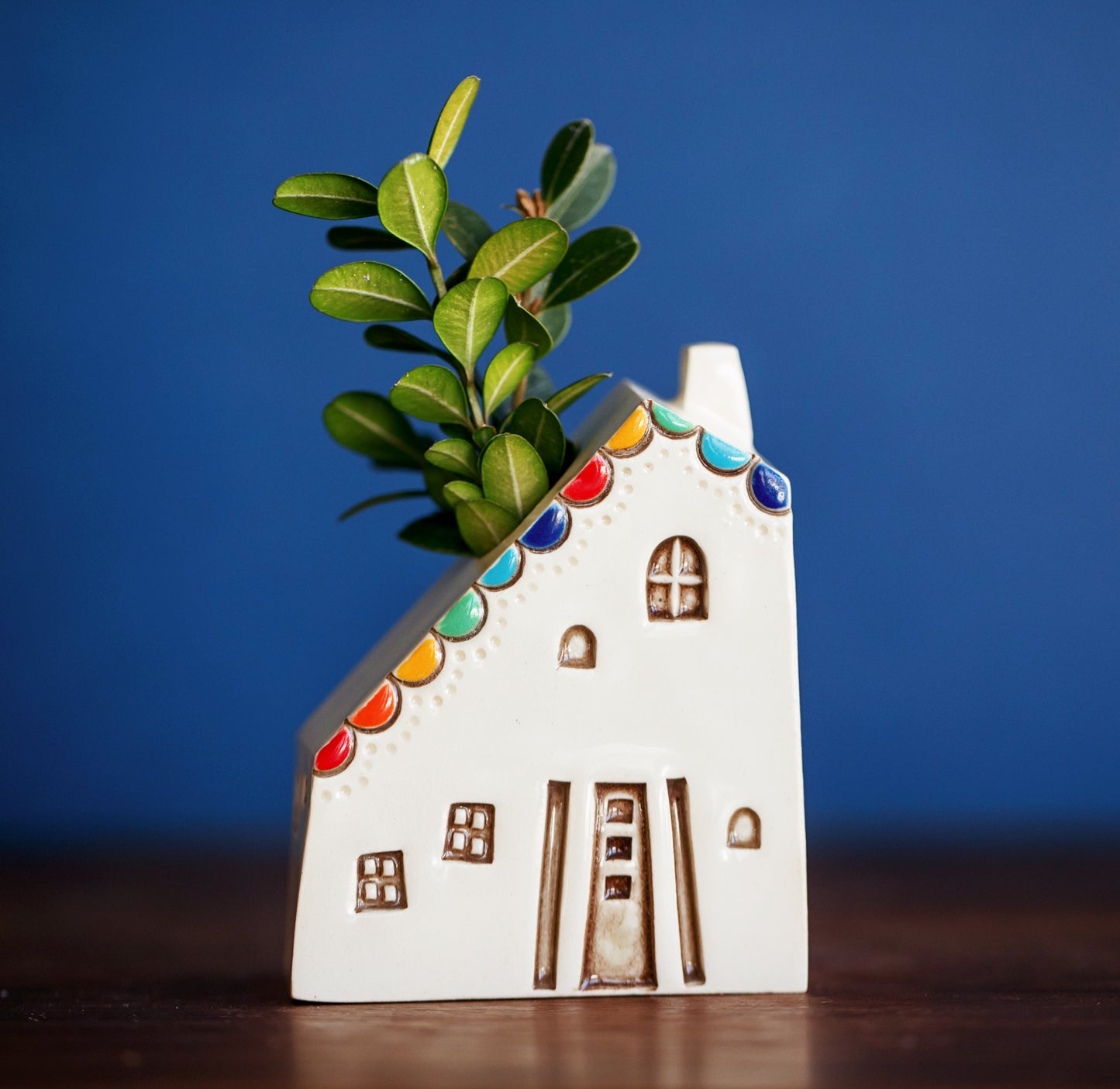 Rainbow Ceramic Bud Propagation Vases with Owl