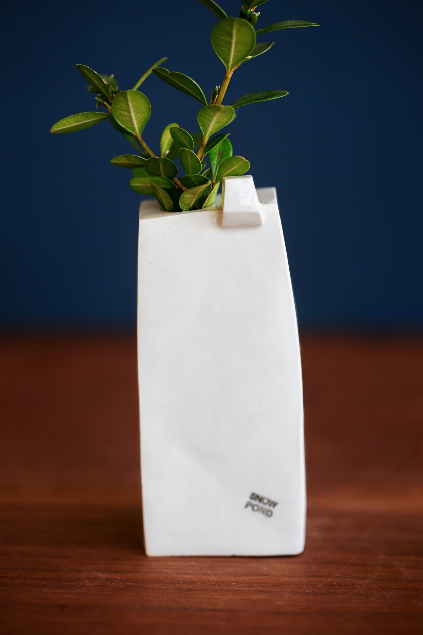 Whimsical Rainbow Bud Vases - Cobblestone and Rain Texture